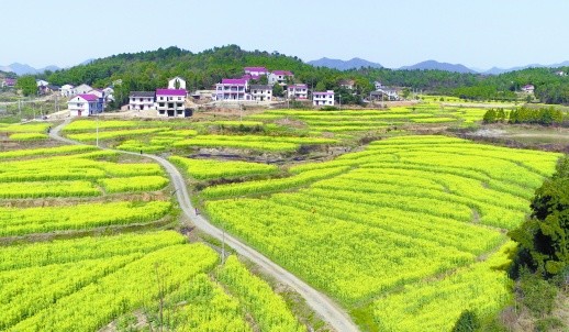 暖阳下的娄底市娄星区杉山镇万乐村(资料照片 杨竹辉摄