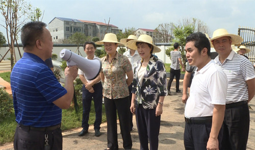 李爱武来我市督查长江临湘段河长制及岸线港口码头整治工作 魏淑萍