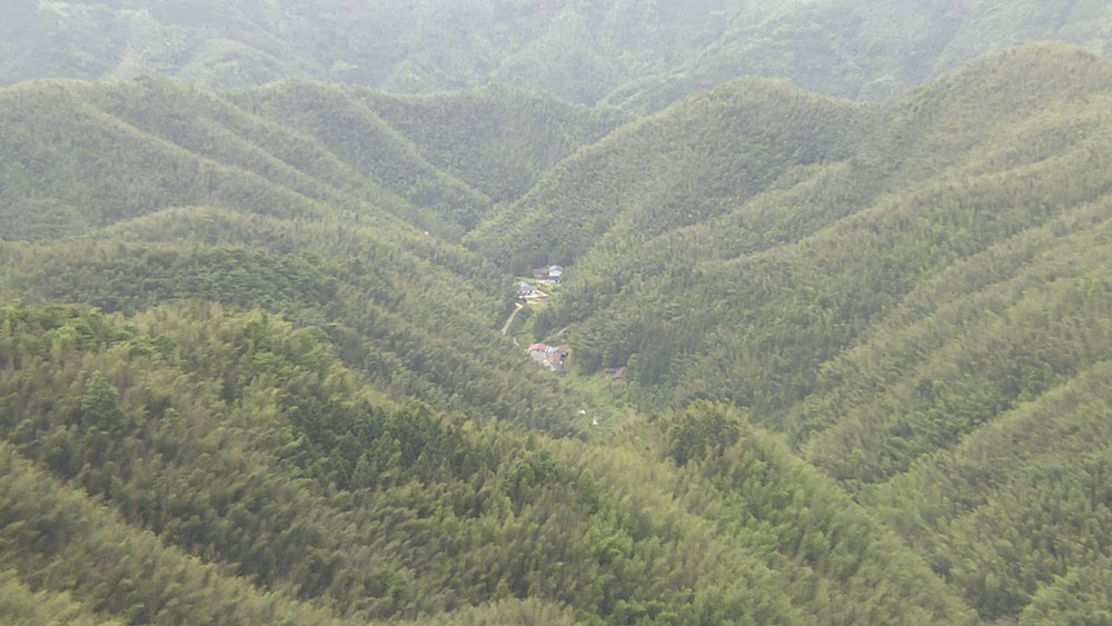 5.jpg-1.jpg 5.jpg-1.jpg