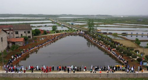 临湘浮标 游钓天下 2023年首届中国·临湘浮标（钓具）文化节之中山湖龙虾节开幕 临湘市政府网