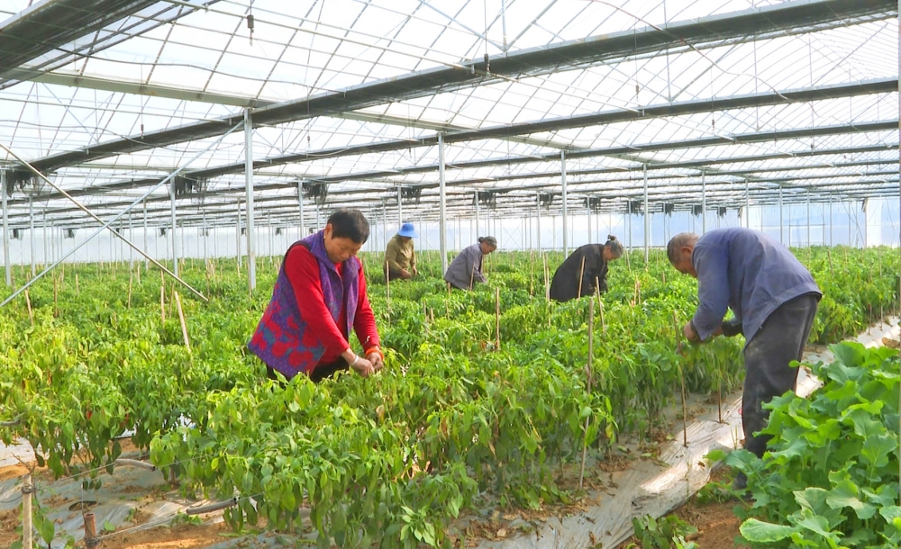 ũʱ ʱֲ ǻ۴ＤǱ Ķճ3Ԫ