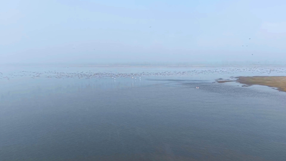 ����������Σ���������ܽ��� ��̬�޸�չ����