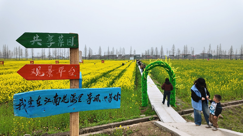 ��������Ķ�Ͳ˻��ؽ�����