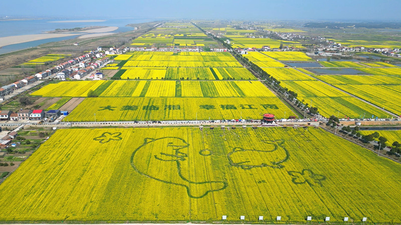 ��������Ķ�Ͳ˻�����ȼ���ա��������á�