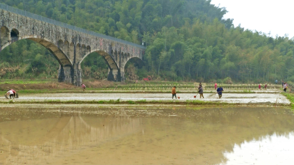 ��¥˾����˹�壺���ڴ��籸��æ �����������³�