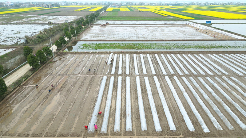 ���������޴壺�������������� ����ũʱ������