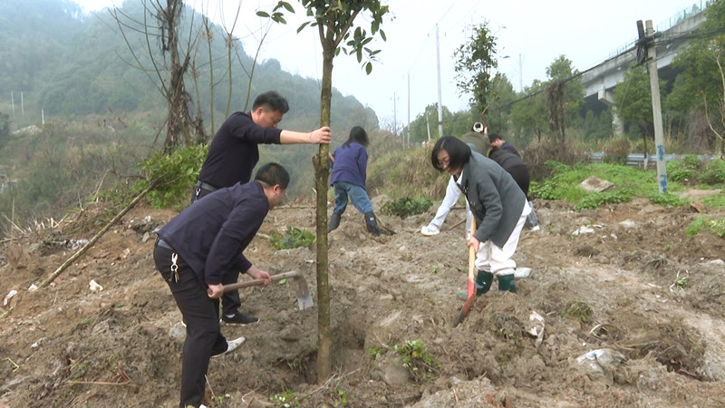 ղ����ֲ�̻�������ɫ �����˾�����԰