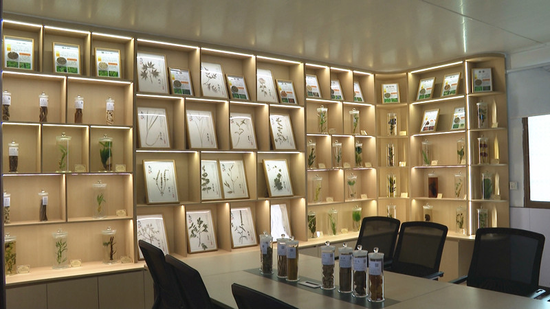 ҩ��ɽ�����ֳ�����ɽ����ҩ �����˲�ҵ