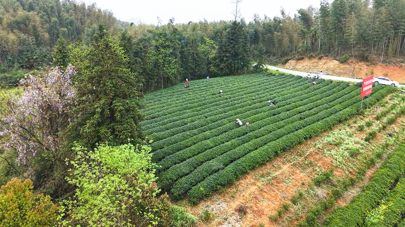 ���������ʹ壺�������æ ��ҵ������