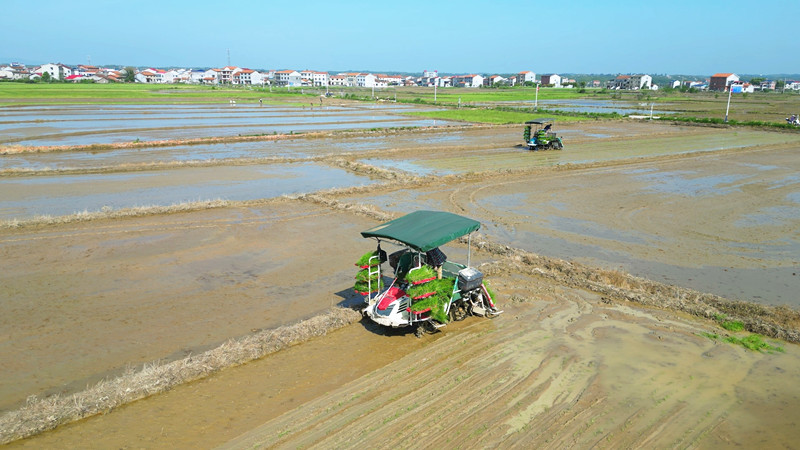 �������絾����æ ����������̡�