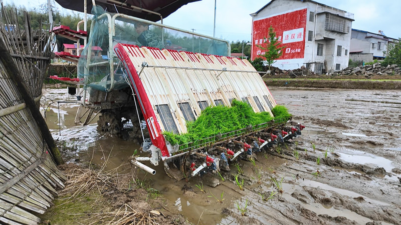 �����ƽֵ��ľ�壺��������ʱ �絾����æ