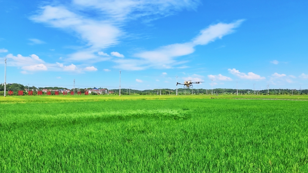�Ƽ��������ܻ� ����Ӧ�Զ�������